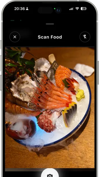 Scan Food Camera